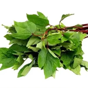 Gongura